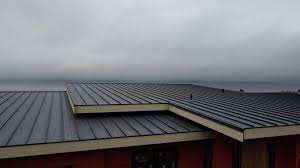 Sheet Metal Roofing in Mill Hall, PA